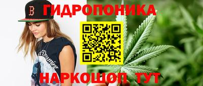 mdpv Кингисепп