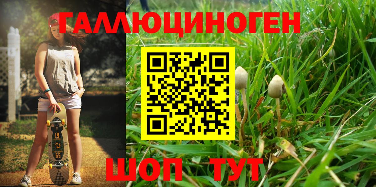 Галлюциногенные грибы мухоморы Азов
