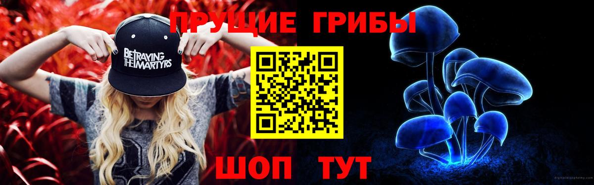 Галлюциногенные грибы Cubensis  Вход с VPN  Псилоцибиновые грибы MAGIC MUSHROOMS  Азов 